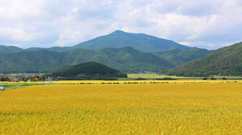 山口市阿東地域